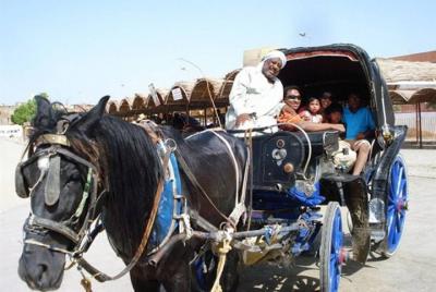 Aswan City tour on Horse Carriage 