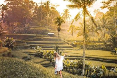 Ubud highlight private Tour - FREE WIFI