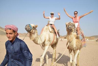 Enjoy The Camel Ride & Banana Island by Traditional Egyptian Felu Enjoy The Camel Ride & Banana Island by Traditional Egyptian Felu