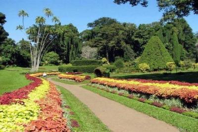 ( The Island of the plants – The Nubian Village )