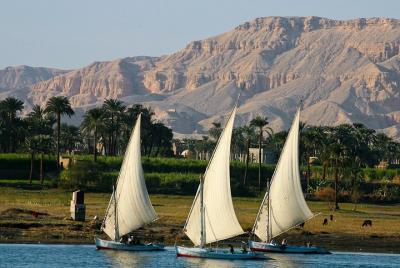 Private Sunset Felucca Tour to Luxor and Banana Island with Camel