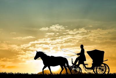 Aswan City Private Tour By Horse Carriage Aswan City Private Tour By Horse Carriage