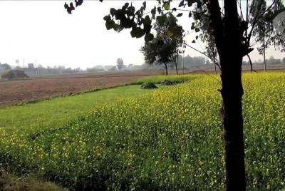 A day tour to Village Life : Worthy Experience