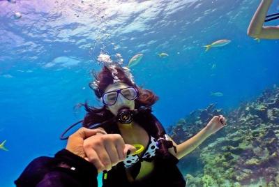 Full-Day Snorkeling Adventure in Giftun Island from Hurghada with