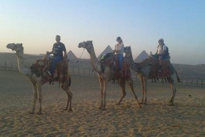 Half Day Tour To Giza Pyramids By Camel