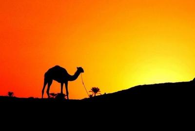 Pyramids, Sphinx, Saqqara, & Memphis Full Day Tour