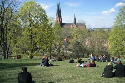 Swedish Lifestyle and Private Walking Tour of Uppsala Swedish Lifestyle and Private Walking Tour of Uppsala