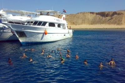 Full Day Tiran Island Snorkeling Sea trip & Lunch With Transfer -