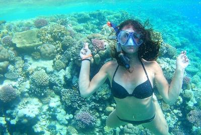 Tiran Island full day snorkeling Sea trip By Boat - Sharm Elsheik