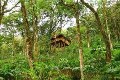 Best Tour to Kerala Best Tour to Kerala