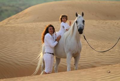 One Hour Horseback Or Camel Riding - Sharm El Sheikh  One Hour Horseback Or Camel Riding - Sharm El Sheikh