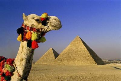 Private Tour: Cairo Day Trip from Sharm El Sheikh by private coac Private Tour: Cairo Day Trip from Sharm El Sheikh by private coac