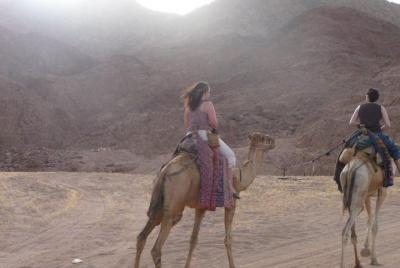 Bedouin Dinner With Camel Ride In Dahab Bedouin Dinner With Camel Ride In Dahab