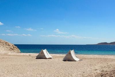 Amazing Bedouin night with dinner& transfer & Camel Ride Show -Sh