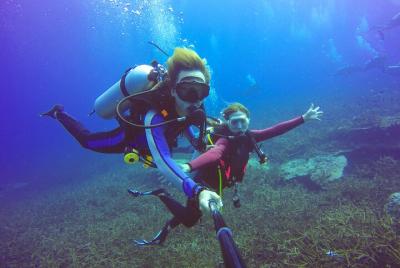 Tiran Island Full Day Snorkeling Sea Trip & intro dive 15 min - S