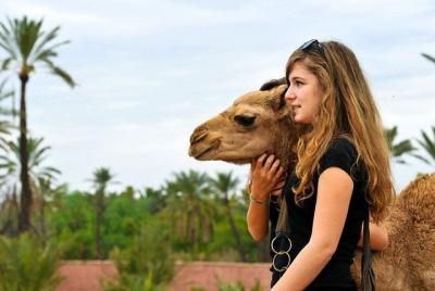 Atlas Mountains & 3 Valleys Day Tour Fro Marrakech Including Lunch & Camel Ride  Atlas Mountains & 3 Valleys Day Tour Fro Marrakech Including Lunch & Camel Ride