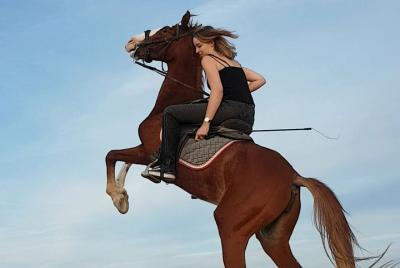 Typical Egyptian Night Sunset Horse Ride & Horse Dancing & BBQ Di