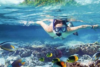 El Gouna Royal Snorkeling VIP Sea Trip &One House Semi Submarine  El Gouna Royal Snorkeling VIP Sea Trip &One House Semi Submarine