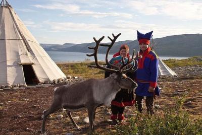 Visit a Lappish Reindeer Farm in the Summer