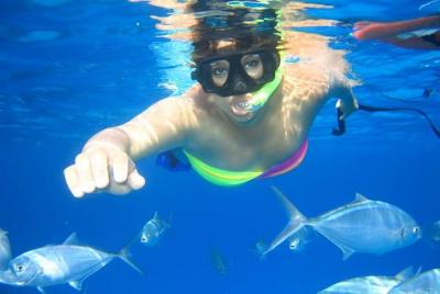 Giftun Island Royal Snorkeling Sea Trip With water sport & massag