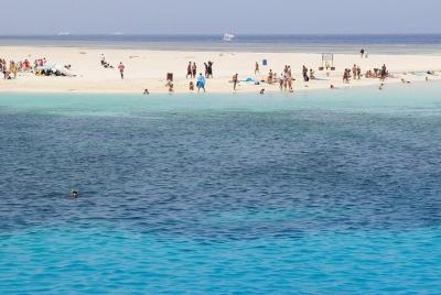 Experience Snorkeling Tour at Utopia Island Experience Snorkeling Tour at Utopia Island