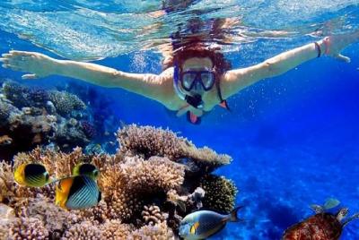 Full-Day Utopia Island Snorkeling Tour from Hurghada by Boat Full-Day Utopia Island Snorkeling Tour from Hurghada by Boat