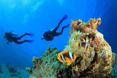 From hurghada : Utopia Island Royal VIP Snorkeling Sea Trip