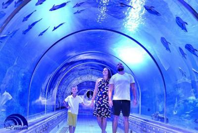 Skip the Line: Hurghada Grand Aquarium Entrance Ticket