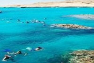 El Gouna Red Sea Snorkeling Trip