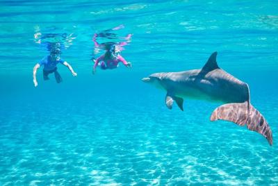 Dolphin House Royal VIP Sea Trip Sea Food Lunch & Massage & Water