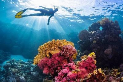 Charming Giftun Island in Hurghada Charming Giftun Island in Hurghada