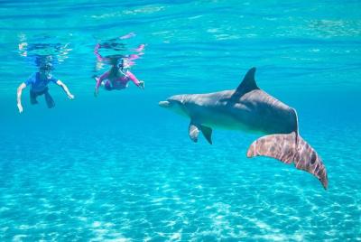 ROYAL Dolphin House - VIP Snorkeling Sea Trip With Water Sport - 