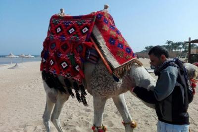 Ausflüge 3 Stunden Wüsten Safari mit Quad fahren in Makadi Bay - 