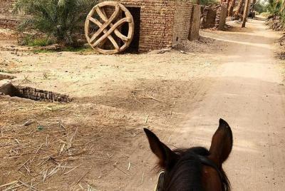 Rural Horse Riding Adventure