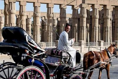 tour by horse carriage