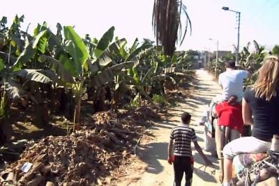 Camel ride trip in Luxor