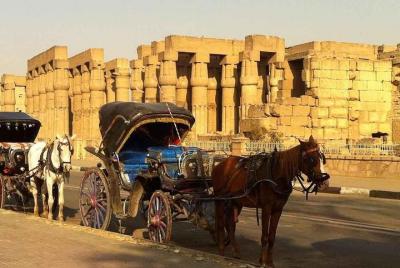 Luxor City Tour By Horse Carriage Luxor City Tour By Horse Carriage