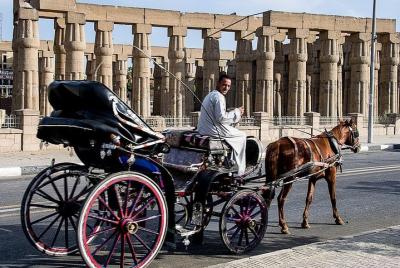 Luxor City Tour By Horse Carriage From West Bank Luxor City Tour By Horse Carriage From West Bank