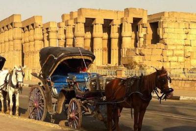 Luxor City Tour By Horse Carriage From West Bank Luxor City Tour By Horse Carriage From West Bank