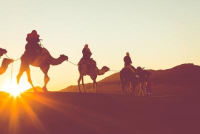 Horseback Camel or Donkey Ride Along the West Bank