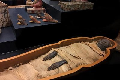 Museum of Luxor and Mummification Museum 4 hours Tour Museum of Luxor and Mummification Museum 4 hours Tour