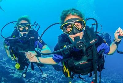 From Luxor : Utopia Island Royal VIP Snorkeling Sea Trip