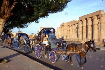 Explore Luxor City by Horse Carriage