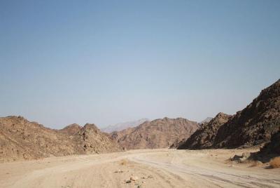 From Marsa Alam: All-in-One Super Desert Safari