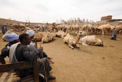 Shalateen Tour from Marsa Alam