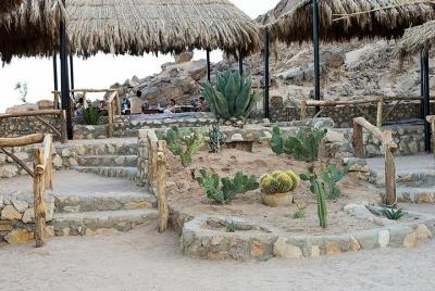  3 hours safari afternoon with the ATV quad & camel ride - Marsa 