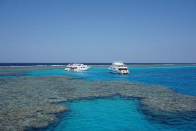 Coral Garden Amazing Snorkeling Sea Trip With Lunch - Marsa Alam