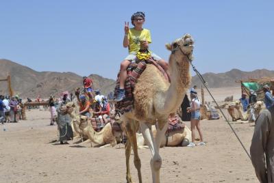Super Safari Excursion By ATV Quad & Sunset - Marsa Allam Super Safari Excursion By ATV Quad & Sunset - Marsa Allam