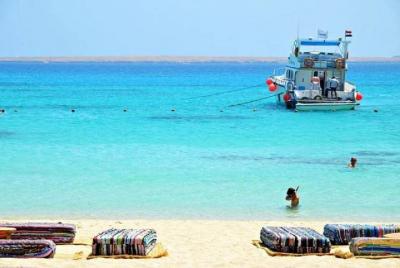 Snorkeling Trip At Port Ghalib Marina From Marsa Alam