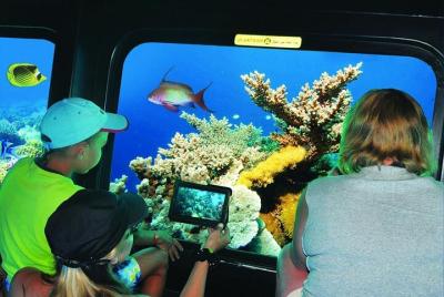 Semi Submarine Trip from Marsa Alam 